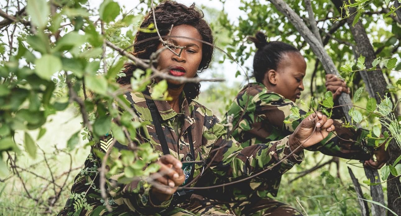 Wildlife rangers in the field