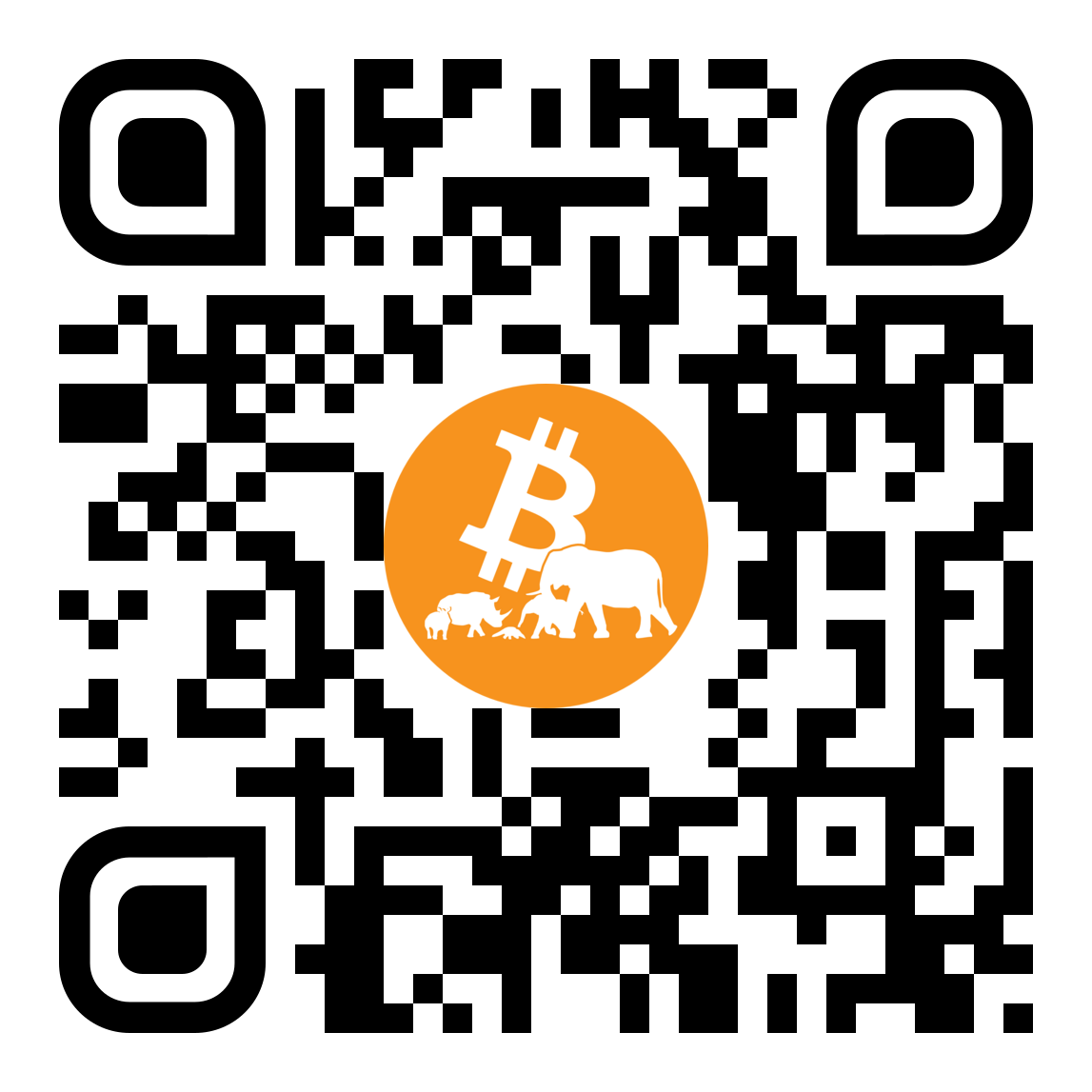 Lightning Network QR code for Bitcoin in the Wild donations